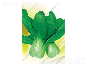 Ʒ���Ͳ�-�Ͳ˷N��-ˮ���I(y��ng)