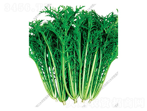 ѩ��ޮ-��˷N��-ˮ���I(y��ng)