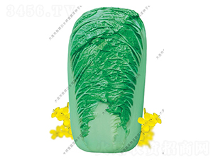 ˮ���I(y��ng)18̖(h��o)-�ײ˷N��-ˮ���I(y��ng)