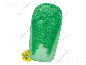 ˮ���I(y��ng)91-19-�ײ˷N��-ˮ���I(y��ng)