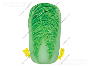 ˮ���I(y��ng)��ζ-�ײ˷N��-ˮ���I(y��ng)