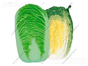 ���-�ײ˷N��-ˮ���I