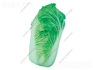 ˮ���I2̖-�ײ˷N��-ˮ���I