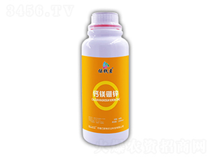 �}�V���\-�u�X������