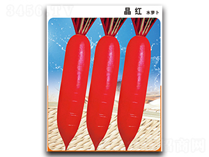 ���t-�}���N��-�x���