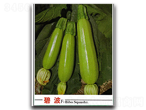 �̲������J-�����J�N��-�x���(l��i)