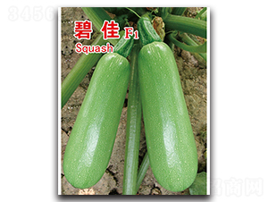 �̼�-�����J�N��-�x���(l��i)