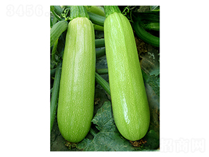 ����-�����J�N��-�x���(l��i)