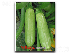 �̎�-�����J�N��-�x���(l��i)