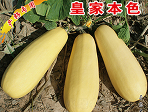 �ʼұ�ɫ-�����J�N��-�x���(l��i)