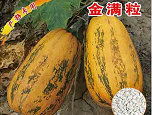 ��M��-�����J�N��-�x���(l��i)