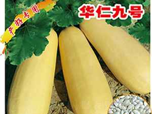 �A�ʾ�̖(h��o)-�����J�N��-�x���(l��i)