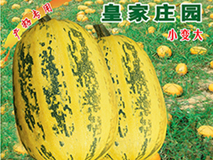 �ʼ��f�@-�����J�N��-�x���(l��i)