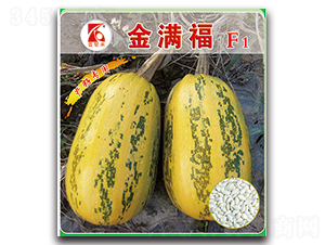 ��M��-�����J�N��-�x���