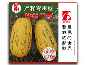 ���S��̖-�����J�N��-�x���