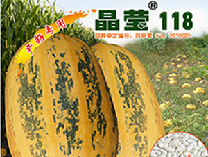 ����118-�����J�N��-�x���