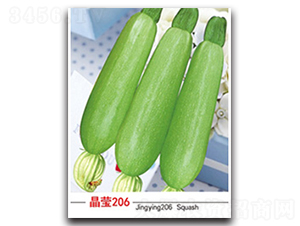 ����206-�����J�N��-�x���