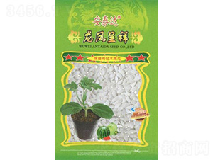 ���P����-�����ľ-��̩�_(d��)