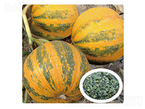 �ι�һ̖-�����J�N��-��̩�_(d��)