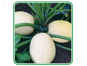 ̩�Sʮ̖-�����J�N��-��̩�_(d��)