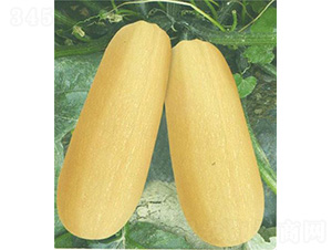 ̩�S��̖�����J-�����J�N��-��̩�_(d��)