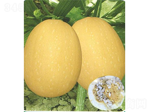 ̩�S��̖�����J-�����J�N��-��̩�_(d��)