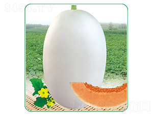 �״���-��ϷN��-��̩�_