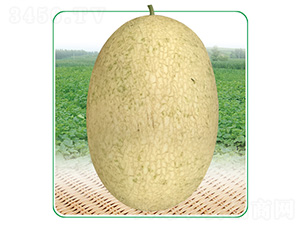 ��̩��4̖-��ϷN��-��̩�_