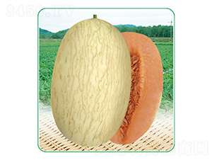 ��̩��3̖-��ϷN��-��̩�_