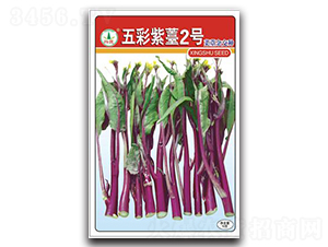 �����޷2̖(h��o)-��̦�N��-�d�߷N�I(y��)