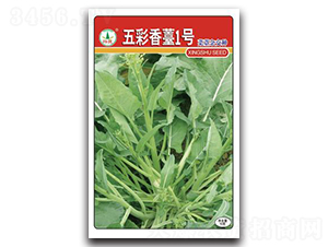 �����̦1̖(h��o)-��̦�N��-�d�߷N�I(y��)