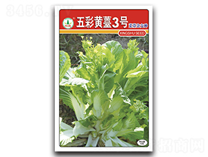 ����S޷3̖(h��o)-��̦�N��-�d�߷N�I(y��)