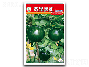 ������-�ϹϷN��-�d�߷N�I(y��)