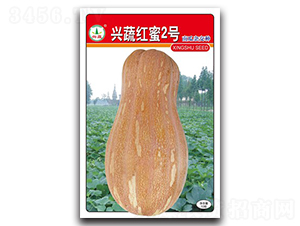 �d�߼t��2̖(h��o)-�ϹϷN��-�d�߷N�I(y��)