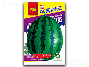 全新改良甜王-西瓜種子-百聚豐