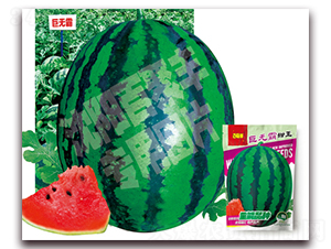 巨無(wú)霸甜王-西瓜種子-百聚豐