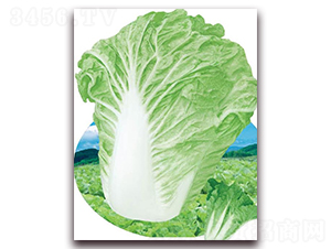 ����������̖-�ײ˷N��-�A�r(n��ng)�N�I(y��)