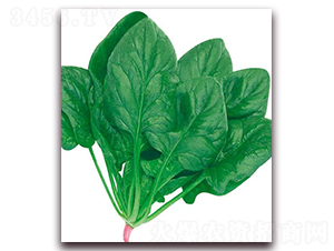 ���m�ö�����-���˷N��-�A�r(n��ng)�N�I(y��)