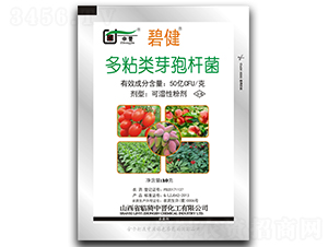 多粘類芽孢桿菌-碧健-中晉