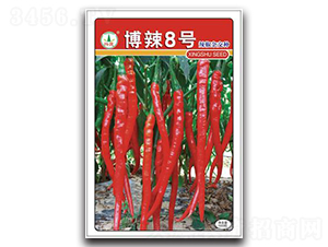 ����8̖-�����N��-�d�߷N�I(y��)