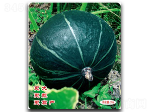 �ڝM(m��n)�@-�ϹϷN��-�մ��r(n��ng)�I(y��)