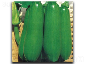 ��ζ�Ϲ�-�ϹϷN��-�մ��r(n��ng)�I(y��)