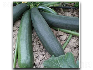 ������̖-�����J�N��-�մ��r(n��ng)�I(y��)