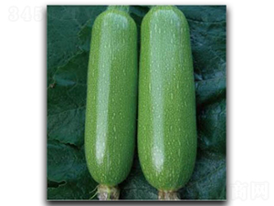 ������̖-�����J�N��-�մ��r(n��ng)�I(y��)