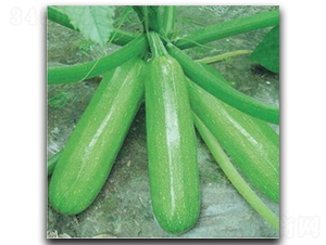 ����̫��-�����J�N��-�մ��r(n��ng)�I(y��)