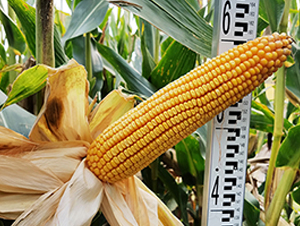 ��1002-���׷N��-���r(n��ng)�N�I(y��)