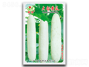 ����S��-�S�ϷN��-���ŷN�I(y��)