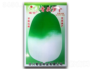 ���^�}��-�}���N��-���ŷN�I(y��)