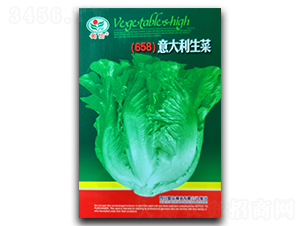 ���������-���˷N��-���ŷN�I(y��)