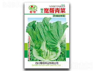 �������-��˷N��-���ŷN�I(y��)